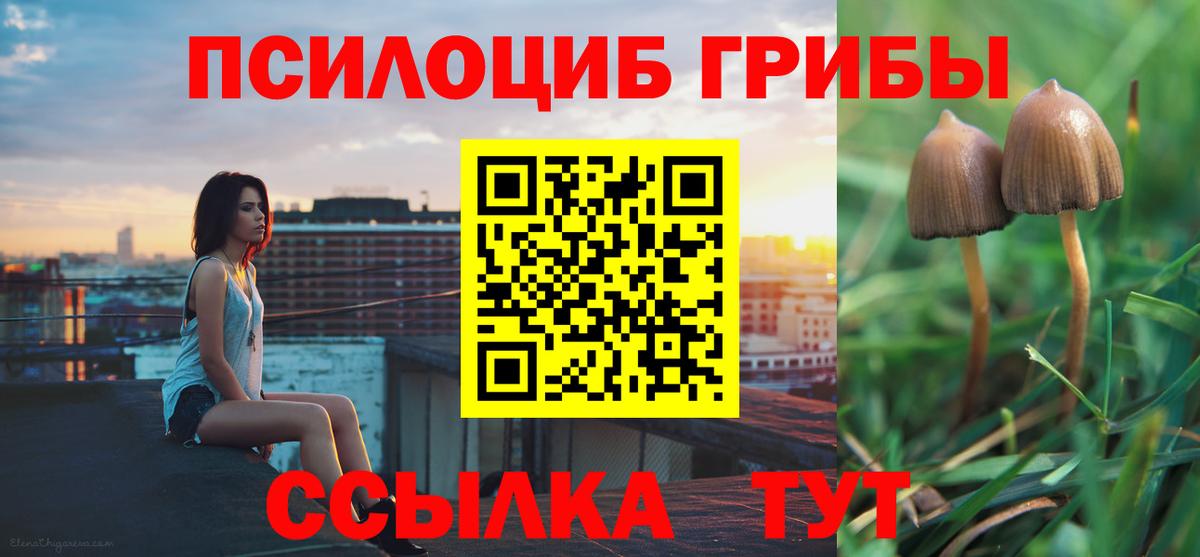 Псилоцибиновые грибы мицелий  Галлюциногенные грибы Psilocybine cubensis  Хабаровск  Вход с VPN 